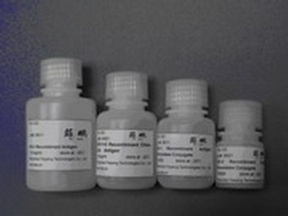 HCV recombinant antigen