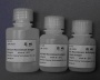Tp recombinant antigen