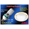Energy saving lamp (without cover)