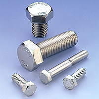 Hexagon Head Cap Screw/Bolt